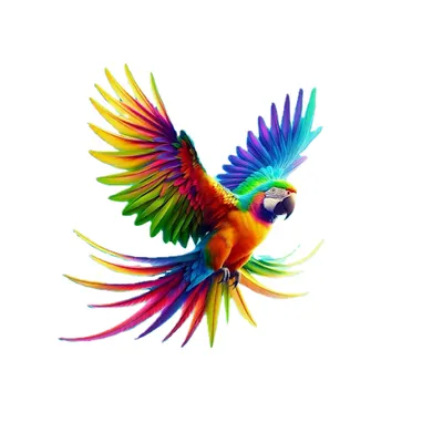 Papuga - Gabinet Terapii Neurologopedycznej Anna Eksterowicz